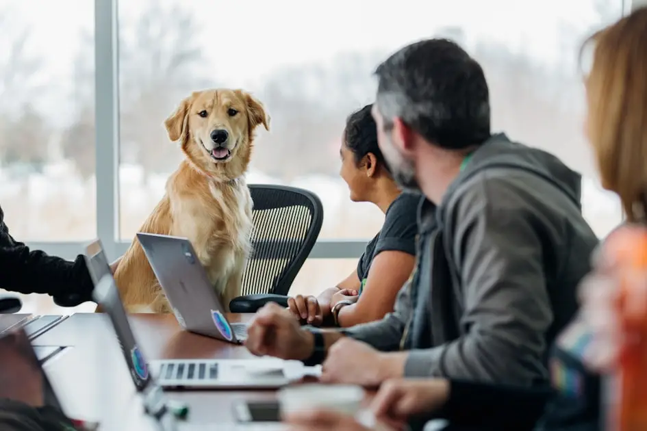 Performance Management Best Practices
